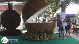 LỄ HỘI DỪA - Nhiều Thứ Được Làm Từ Cây Dừa | Hội Ngộ Miền Tây - Tập 262