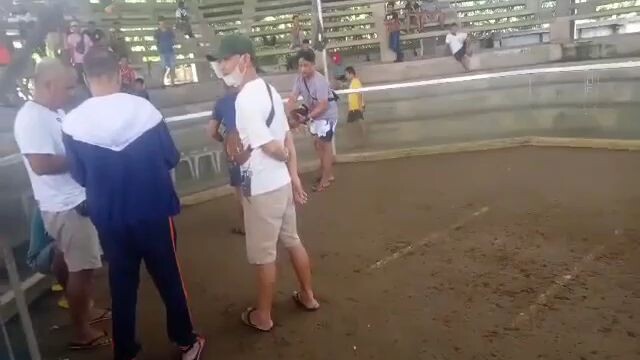 pang malakasan n manok mga par.