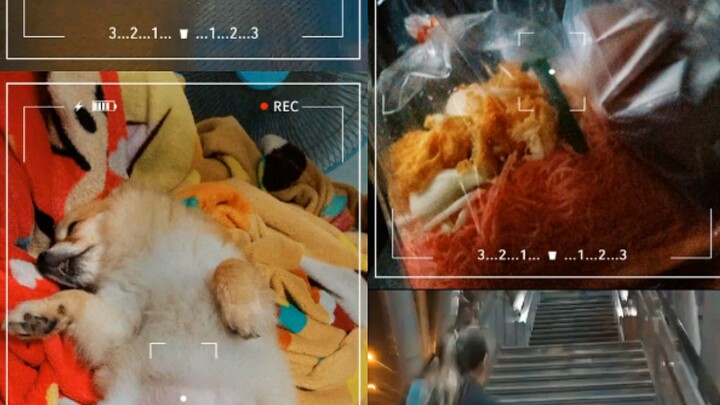 หนูมารวย ส่งมี้มี้  กลับถึงบ้าน สลบเลย.#หนูมารวย