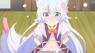 “尾巴变秃了，该怎么办....”