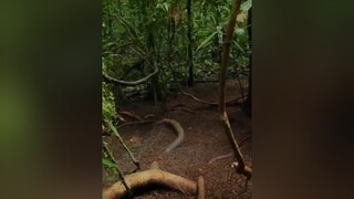 Dọn dẹp để tán gái cliphai videohay