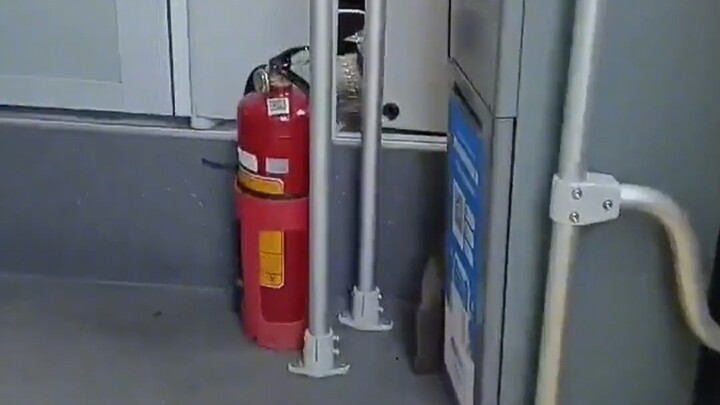 فتاة صغيرة في محطة الحافلات تقدّم شرابًا لوالدها السائق، حتى عبر الشاشة تشعر بحلاوة هذا الشاي!