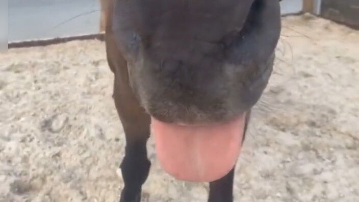 "I know you want to touch it, come on."
