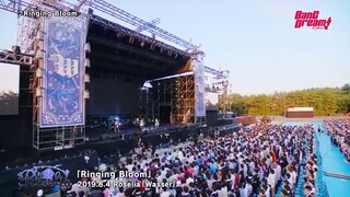 Roselia - Ringing Bloom
