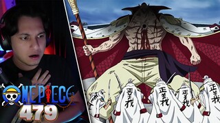 WHITEBEARD PUTS HIS TRUST IN LUFFY | One Piece Episode 479 Reaction