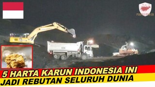 Dengan Bisa Kuasai 5 Harta Karun Ini, Indonesia Akan Menjadi Negara Terkaya Di Dunia