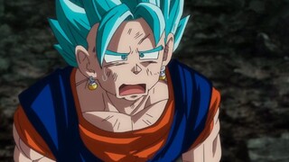 【Funny Animal】Veggit Gogeta