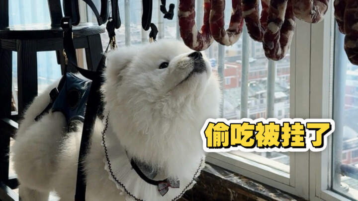 Isn’t anyone going to save Xiao Dou?