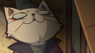 คุณแมวที่มีสีหน้าหลากหลาย ค่อยๆ ปลดปล่อยตัวเอง