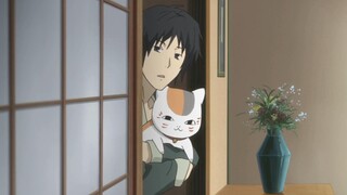 The cat teacher who eavesdropped on Natsume's phone call is so cute