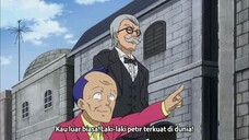 Fairy tail episode 225 sub indo