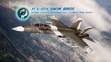 Project Wingman - Mission 5 (Sirens Of Defeat)