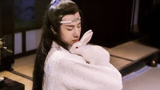 [BJYX] Thỏ nhà Trạm 🐰