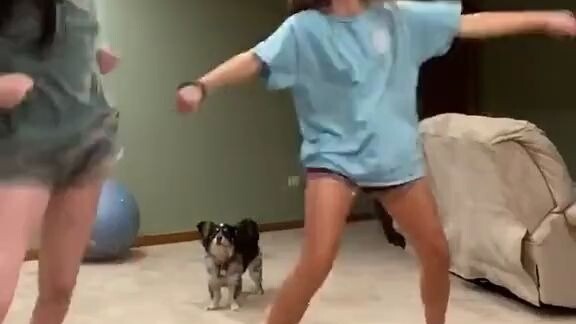 I asked my dad to help me take a video