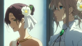 紫罗兰永恒花园外传--女生之间的唯美......