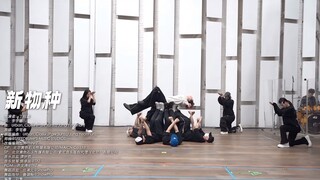 【Ding Chengxin】I suggest those who say Ding Chengxin's dance routine is just basic singing and danci