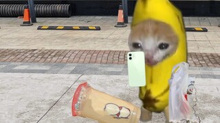 Banana Cat muốn làm video ghi lại cuộc sống của mình nhưng cuối cùng lại khóc