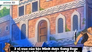 Top 7 Trái Zoan Mạnh Nhất One Piece p9