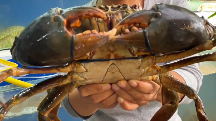 A Lai Ma: Let’s check out the giant seafood in this Thai farm stay—each piece is bigger than your fa