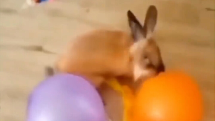 Thanh kiếm của nó “bén đến mức khó tin”