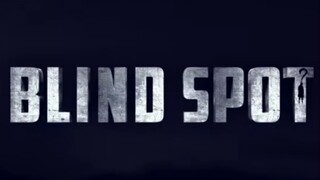 Blind Spot (2025)