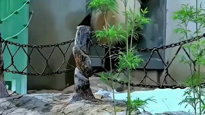 这逼班是一秒钟不想多上，门卫tm的开门！！！！下班了！！！！！