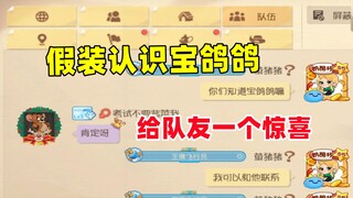 猫和老鼠手游：假装认识宝鸽鸽 给队友一个惊喜