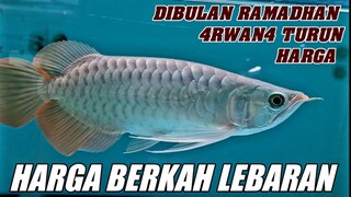 MAIN IKAN CHANNEL OBRAL 4RWAN4‼️ UPDATE HARGA TERBARU AN4K4N ARW4NA SUPER RED TERMURAH TERLENGKAP