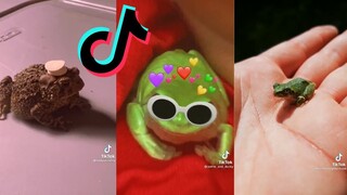 TikToks that hop - Frogs and Toads of Tiktok #3