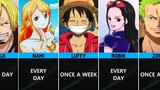 ONE PIECE Straw Hat Pirates Miscellaneous Information