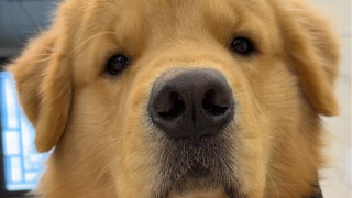 A bit filial, but not much.