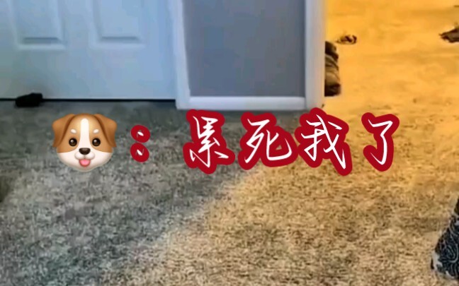 อย่าทำให้ฉันนอนไม่ทัน
