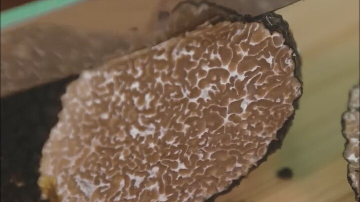 Why Are These Truffles Collected by Little Pig So Expensive?