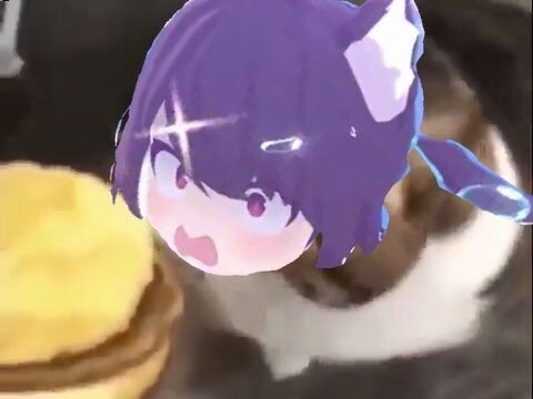 น้องแมวน้ำ เธอสามารถกินเบอร์เกอร์ชีสได้นะ