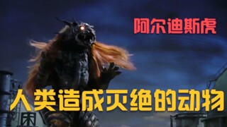 【盖亚奥特曼】世界上最后一只阿尔迪斯虎灭绝，而这个结局是拜人类所赐