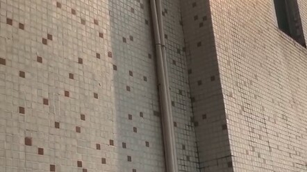 Today, the final season of Giants comes out, and schools are free!