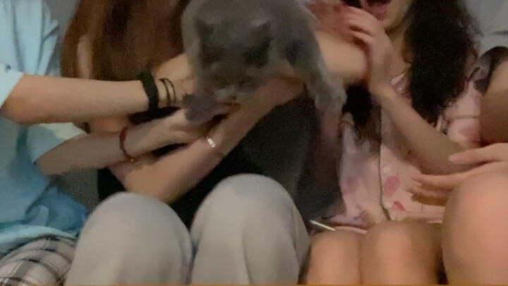 Cat: I’m not happy at all about this birthday.