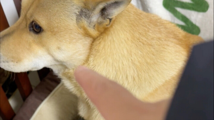 Who on earth did it make plans with at 3 a.m.?!