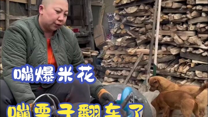 Chỉ chút bỏng ngô này thôi mà 3 đồ đệ đều bị vạ lây, lão Khuýy đau như cắt ruột!