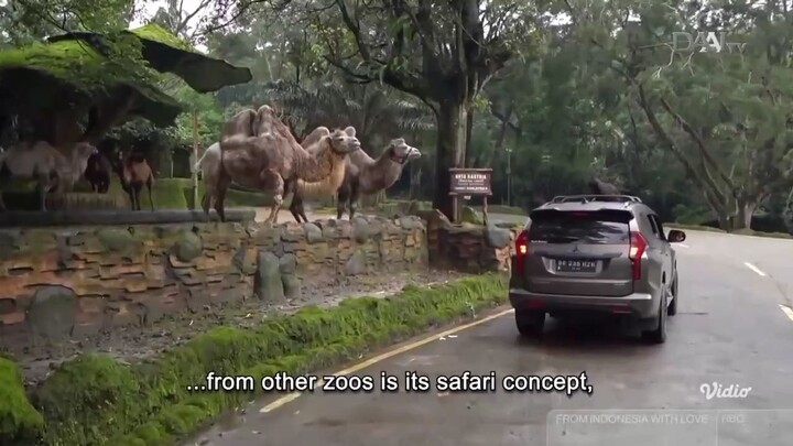 DAAI TV: From Indonesia with Love "Bogor City / Rainy City (Kota Hujan)" (English Subtitle)