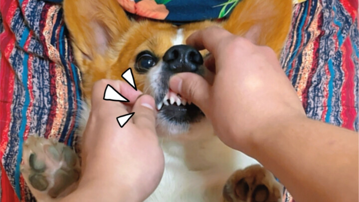 The feeding method may change, but Grandpa remains steadfast.