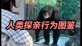 [Brother Xi] Others go to the zoo to see animals, but you go home to visit relatives, right?