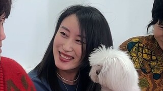 催生极速版