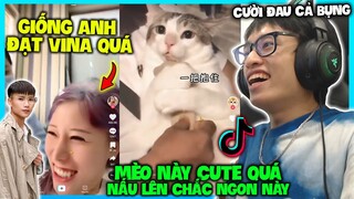 HÙNG AKIRA CƯỜI ĐAU BỤNG KHI REACTION TIK TOK CHỊ GIỐNG HỆT ANH ĐẠT VILLA VÀ CHÚ MÈO BÉO ÔM CỰC HÀI