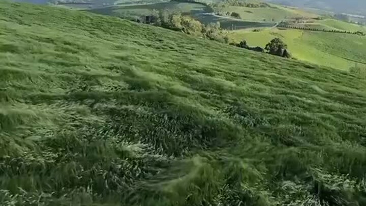 The world in animation actually exists