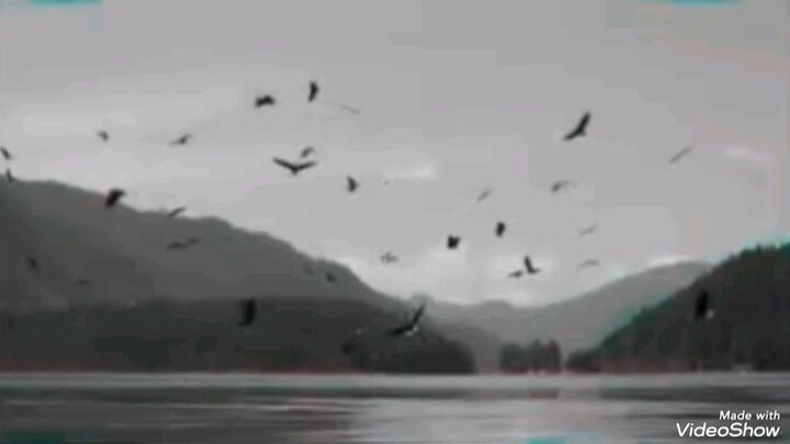 Me - Song by Butterfingers 1996