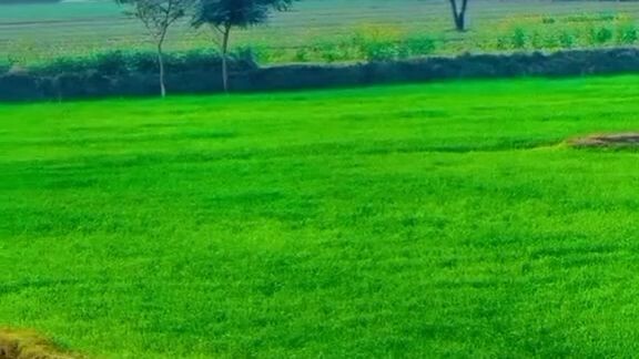 Ang Buhay sa Probinsya