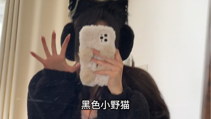 报告！今天是粘人喵喵喵！