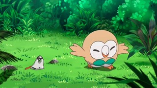 มาสคอตของ Sun and Moon นั้นเป็นนกฮูกไม้ที่น่ารักอย่างแน่นอน~