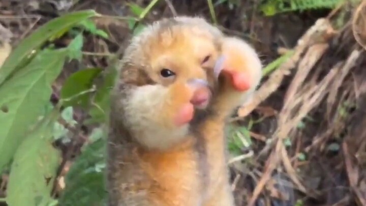 Asalkan tutup mata, kamu nggak bisa lihat aku.